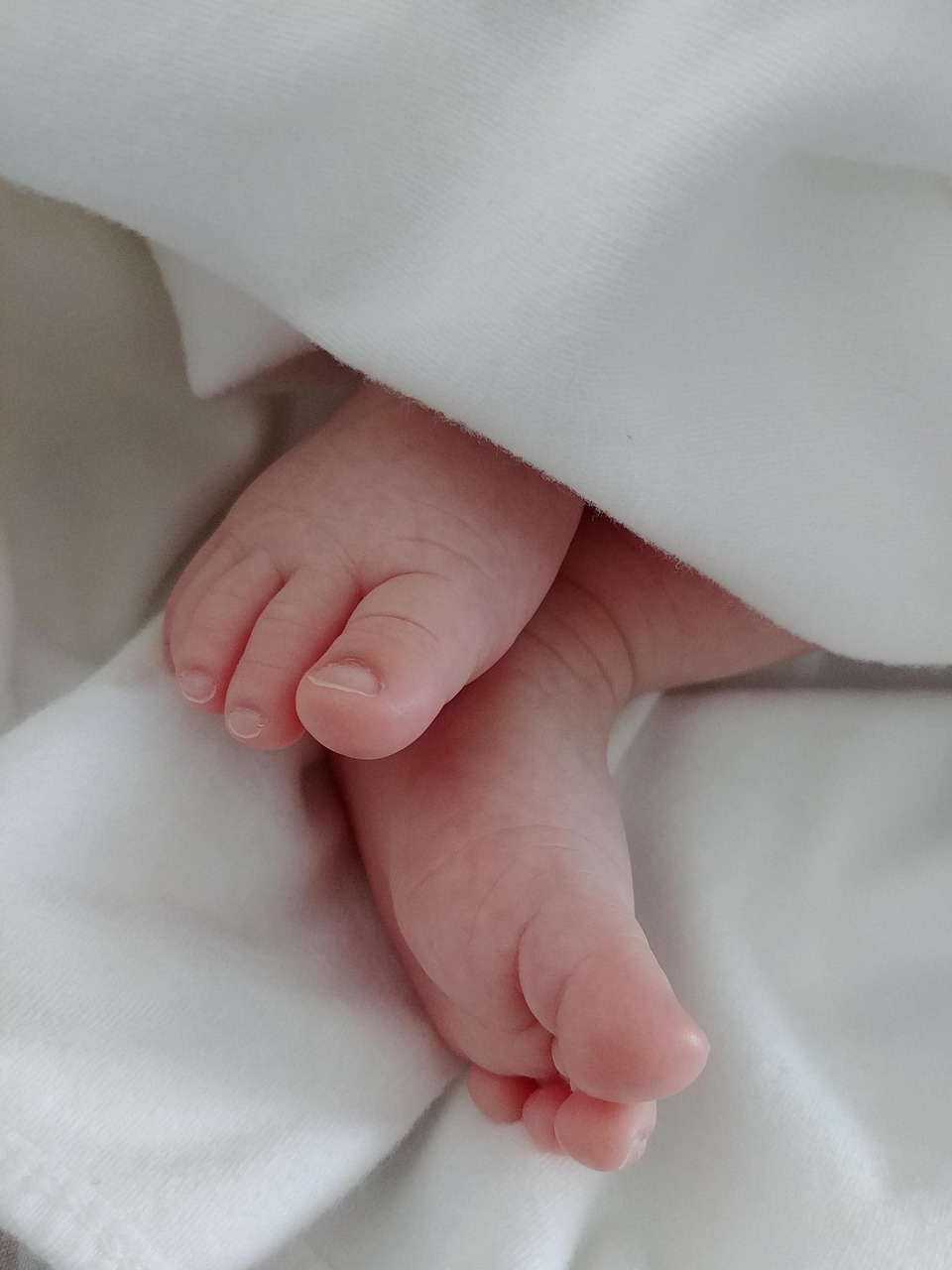 baby, foot, cute, child, newborn baby, freshly born, toes, sole, birth